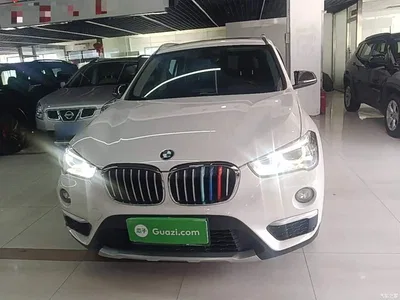 2018 BMW X1 sDrive18Li Premium Model, фото 3, лот 11580086