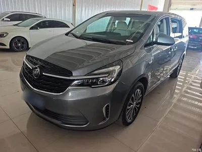 2021 Buick GL8 Land Business Class 652T Luxury, фото 2, лот 11567612