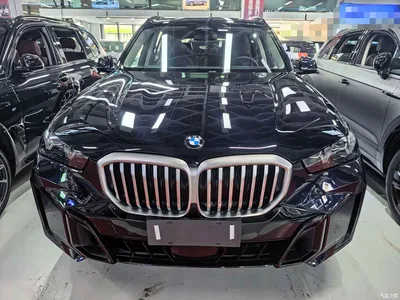 2023 BMW X5 xDrive 30Li Premium M Sport Package, фото 2, лот 10463170