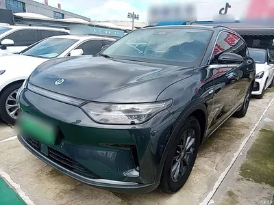 2023 Leapmotor C11 Pure Electric 500 Smart Edition, фото 1, лот 10442047
