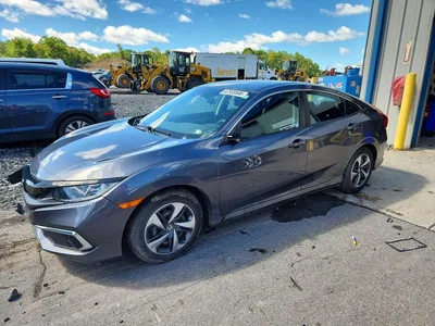 2019 HONDA CIVIC LX, фото 1, лот 11207624