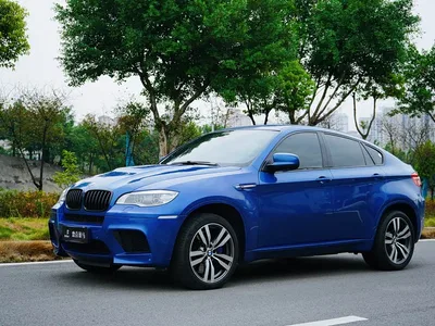 2010 BMW X6 M, фото 3, лот 10477225