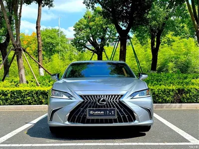 2022 Lexus ES 200 Excellence Edition, фото 1, лот 10395217