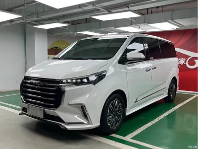 2020 SAIC Maxus Maxus G20 2.0T Gasoline Automatic Luxury Executive, фото 1, лот 11150217