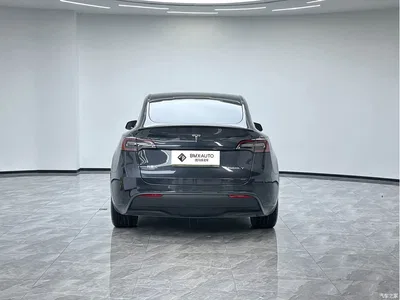 2024 Tesla Model Y Long Range AWD, фото 3, лот 11073598