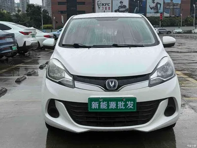 2021 Changan Benben E-Star National Edition Heartjoy LFP (31.95kWh), фото 3, лот 10249881