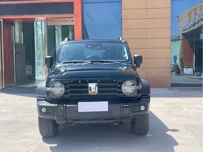2024 Tank 300 Model 2.0T Challenger, фото 2, лот 10343982