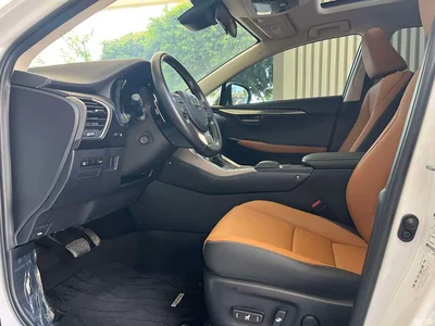 2020 Lexus NX 300h FWD F Sport China VI, фото 4, лот 10314822