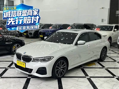 2021 BMW 3 Series 320Li M Sport Package, фото 1, лот 11539489
