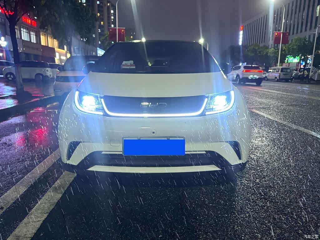 2024 BYD Dolphin Glory Edition 420km Fashion Edition, фото 2, лот 11007320