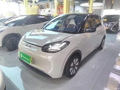 2024 Wuling Motors Wuling Bingo 333km Comfort Edition, фото 1, лот 10368494