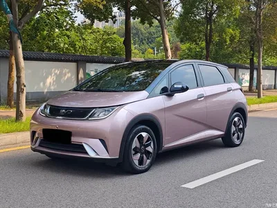 2023 BYD Dolphin 420km Fashion Edition, фото 1, лот 11283032
