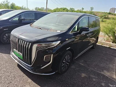 2024 Hongqi HQ9 PHEV Model 2.0T AWD Business Edition, фото 1, лот 10289828