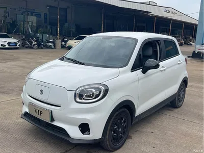 2025 Leapmotor T03 Model 310 Comfort Edition, фото 1, лот 10317425