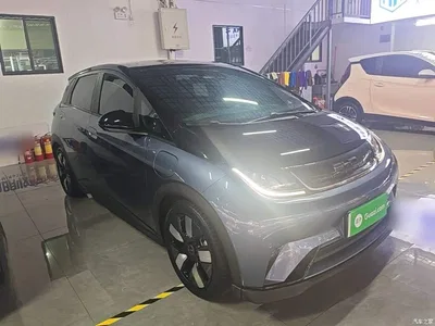 2023 BYD Dolphin 401km Knight Edition, фото 4, лот 11502576