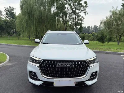 2023 Haval H6 National Trend Edition 1.5T Automatic Champion, фото 2, лот 10283567