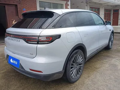 2023 Leapmotor C11 Pure Electric 500 Comfort Edition, фото 3, лот 10317533