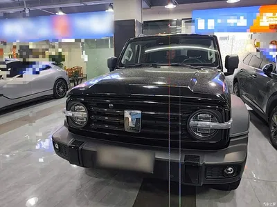 2021 Tank 300 Off-road Version 2.0T Conqueror, фото 3, лот 11205661
