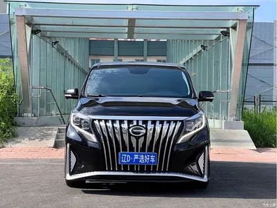 2019 GAC Trumpchi Trumpchi M8 320T Ultimate Edition, фото 2, лот 10416559
