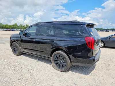 2025 FORD EXPEDITION PLATINUM, фото 2, лот 10518749