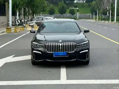 2019 BMW 7 Series 730Li M Sport Package, фото 2, лот 11002510