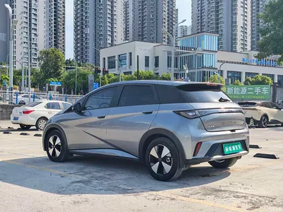2023 BYD Dolphin 420km Freedom Edition, фото 4, лот 10253943