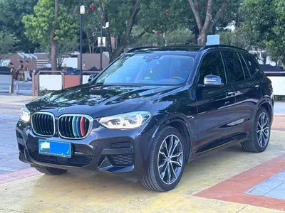 2021 BMW X3 xDrive30i Leading M Sport Package, фото 1, лот 10605887