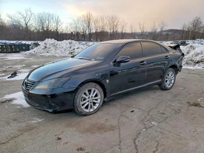 2010 LEXUS ES 350, фото 1, лот 10849440