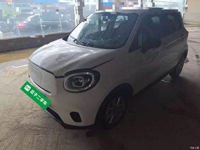 2022 Leapmotor T03 Crystal Shine Edition, фото 1, лот 10680256