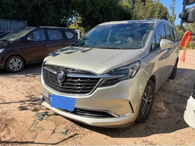 2022 Buick GL8 ES Landmark 653T Comfort, фото 1, лот 11548821