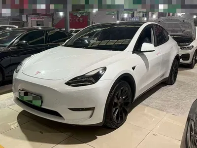 2022 Tesla Model Y Facelift Long Range All-Wheel Drive Version, фото 1, лот 10838158
