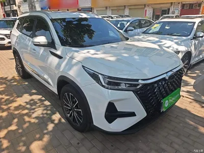 2025 Chery Tiggo 8 PRO 290T 2WD Luxury Edition, фото 4, лот 10335161