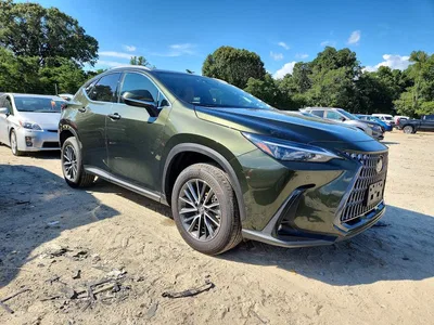 2025 LEXUS NX 350H PREMIUM, фото 4, лот 10904509