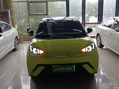 2024 BYD Seagull Glory Edition 305km Freedom Edition, фото 3, лот 11067896