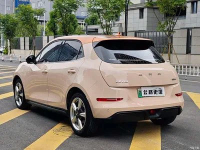 2022 Ora Good Cat 400km Standard Range Luxury LFP, фото 3, лот 10330998