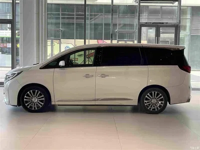 2021 GAC Trumpchi Trumpchi M8 Leading Show Series 390T Ultimate Edition, фото 4, лот 10887942