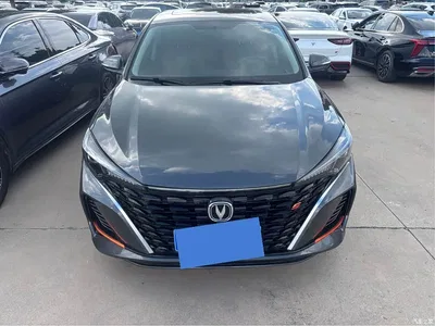 2023 Changan Eado Enjoy Edition PLUS Blue Whale NE 1.4T GDI DCT Premium Edition, фото 2, лот 10250501