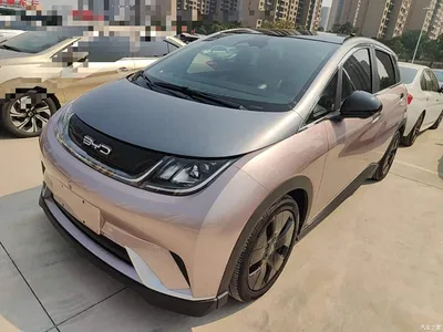 2021 BYD Dolphin 401km Knight Edition, фото 1, лот 10599931