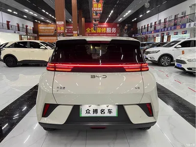 2025 Byd Seagull, фото 4, лот 10245490