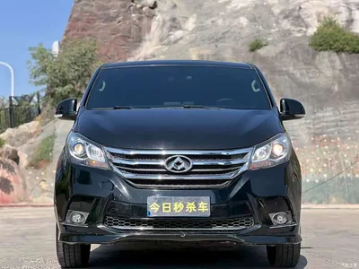 2018 SAIC Maxus Maxus G10 PLUS 2.0T Automatic Executive Edition, фото 2, лот 11144611