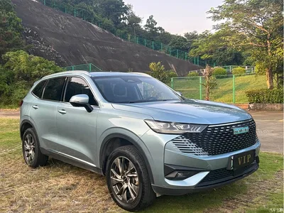 2023 Haval H6 New Energy DHT-PHEV 55KM Joy Ride Edition, фото 3, лот 11195758