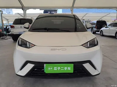 2023 BYD Seagull Freedom Edition, фото 3, лот 10260015