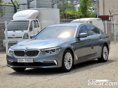 2019 BMW 5-Series 530i Luxury Plus, фото 1, лот 10132158
