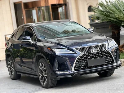 2020 Lexus RX 300 4WD Elegance Edition China VI, фото 3, лот 10318475