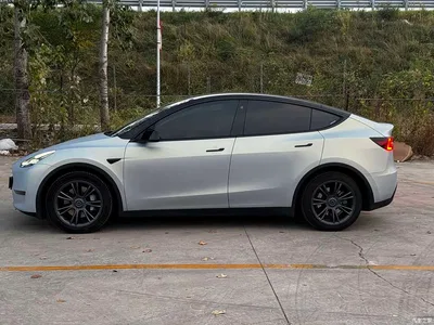 2023 Tesla Model Y Long Range All-Wheel Drive Edition, фото 4, лот 10906942