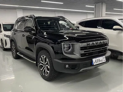 2024 Haval Big Dog 1.5T DCT Border Collie Edition, фото 3, лот 10838861