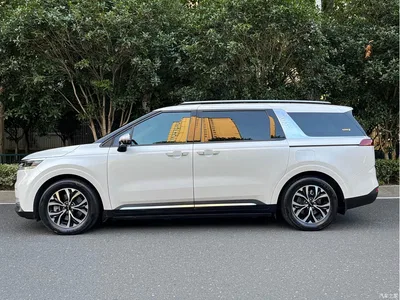 2021 Kia Carnival 2.0T Luxury Tech Edition, фото 3, лот 10337059