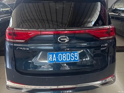 2021 GAC Trumpchi Trumpchi M8 Leading Show Series 390T Premium Edition, фото 4, лот 10416982
