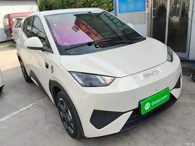 2025 BYD Seagull Smart Drive Edition 305km Freedom Version, фото 4, лот 10258766