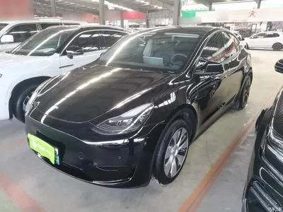 2022 Tesla Model Y Rear-Wheel Drive Version, фото 2, лот 11089578
